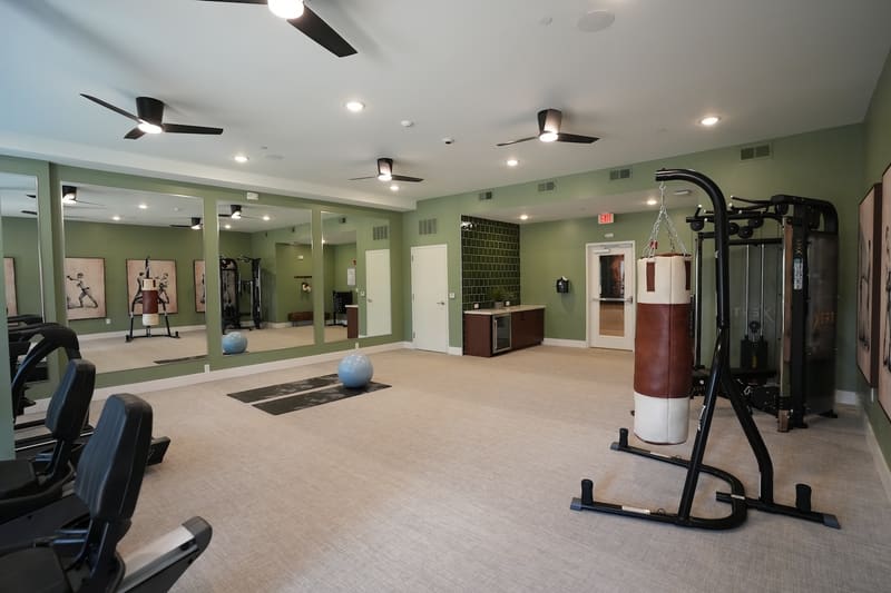 Fitness studio with strength equipment and punching bag